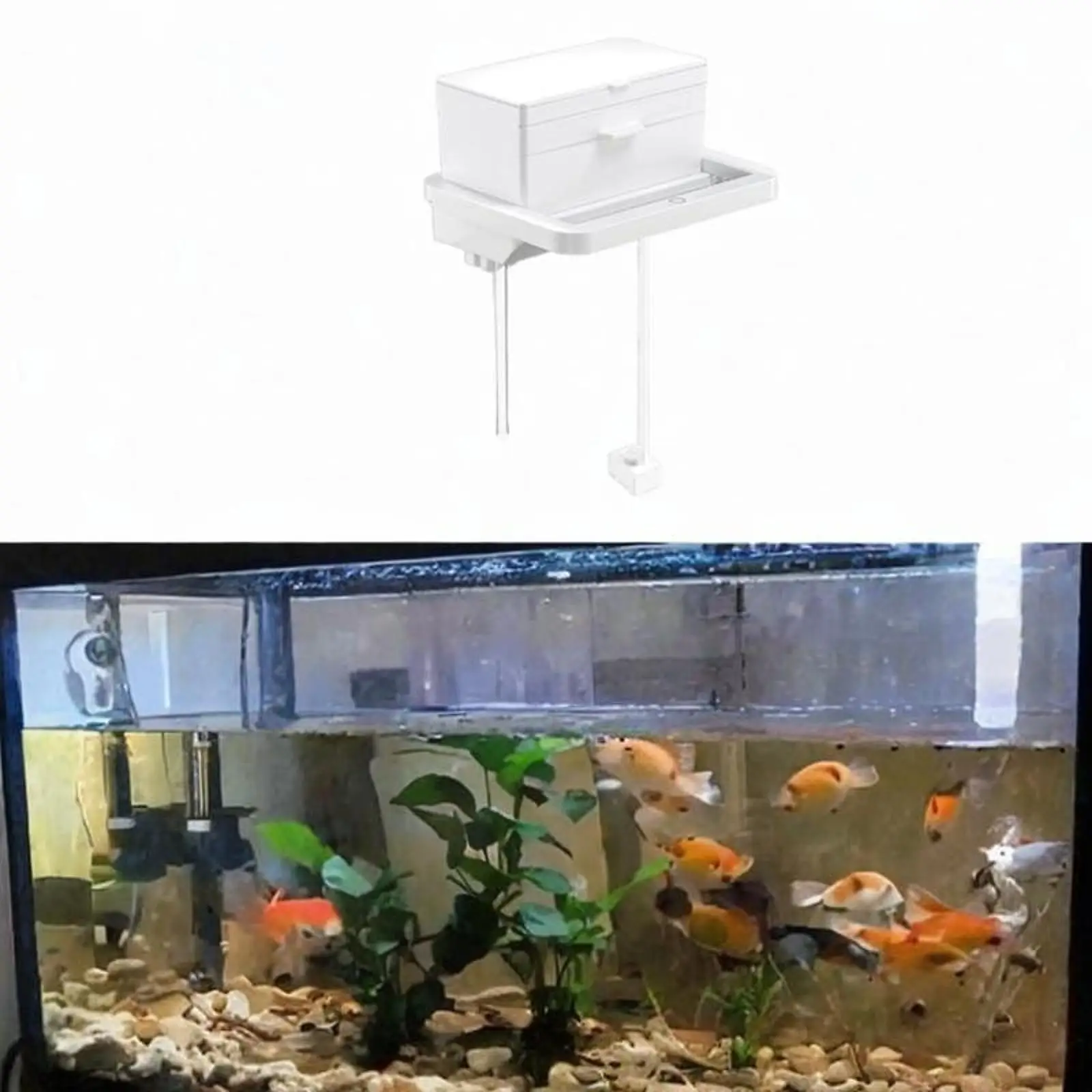 Overflow Box for Aquarium Turtle Tank Water Purifier USB Aquarium Filter Box
Overflow Box for Aquarium Turtle Tank Water Purifier USB Aquarium Filter Box