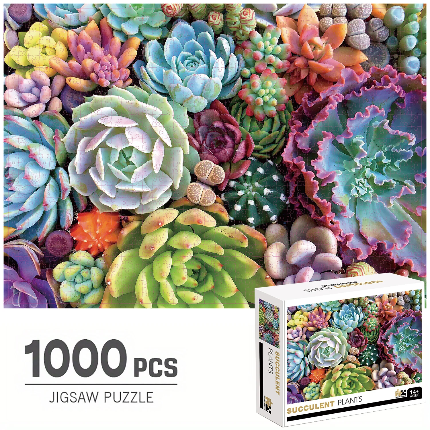 1000 шт. пазлы, суккулентные растения, большие игрушки-пазлы для взрослых, подарок, интеллектуальная декомпрессионная забавная семейная игра
1000 шт. пазлы, суккулентные растения, большие игрушки-пазлы для взрослых, подарок, интеллектуальная декомпрессионная забавная семейная игра