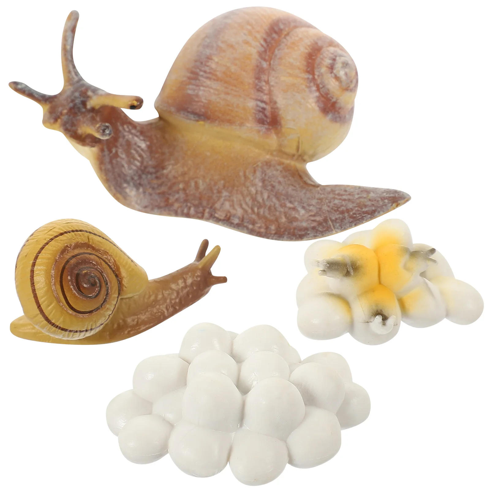 Snail Metamorphosis Cycle Mini Animals Life Toy Lifelike Learning Models Miniatures Toys Cognitive Toddlers
Snail Metamorphosis Cycle Mini Animals Life Toy Lifelike Learning Models Miniatures Toys Cognitive Toddlers