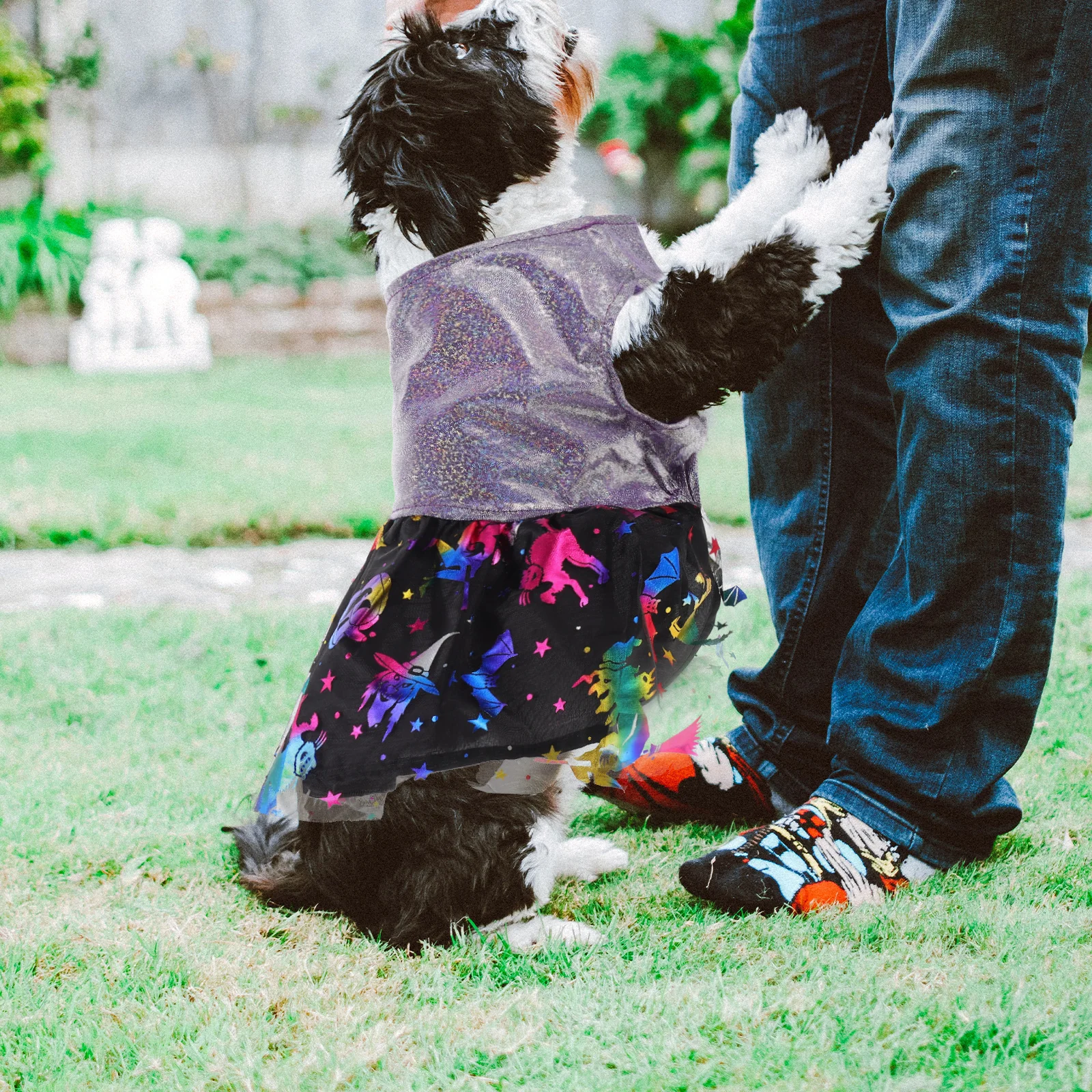 Halloween Halloween Themed Dog Skirt Pet Outfits Spiderweb Print Skirt Polyester Comfortable Stylish Reusable Dog Clothes
Halloween Halloween Themed Dog Skirt Pet Outfits Spiderweb Print Skirt Polyester Comfortable Stylish Reusable Dog Clothes