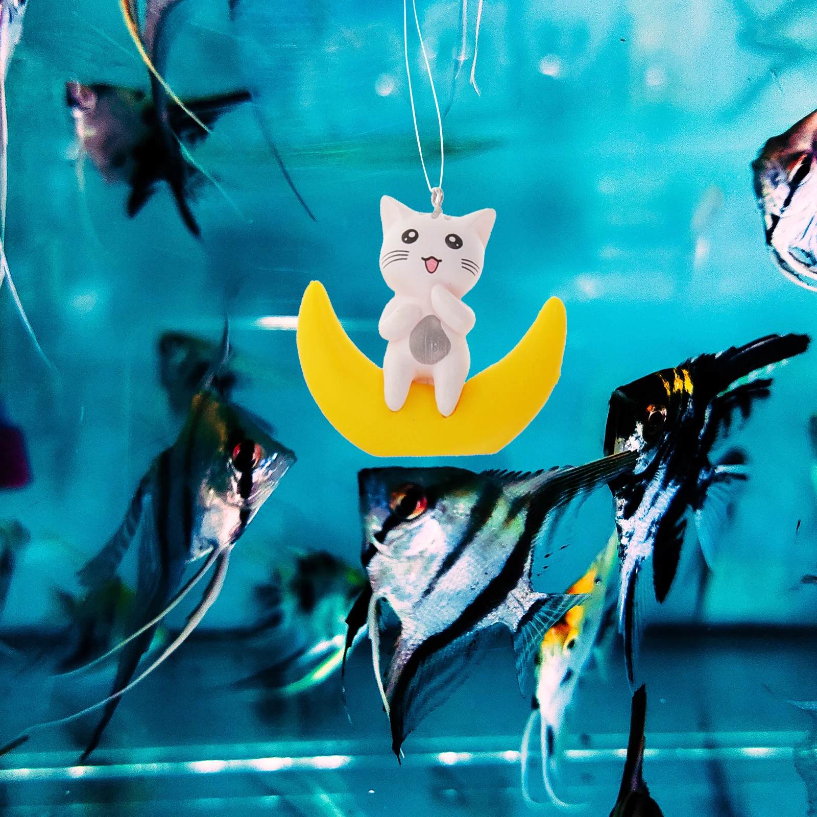 2 Pcs Fish Tank Floating Hanging Decorations Aquarium Accessories Kitten Figurine L scape Craft Adorable Statue Lifelike Shape
2 Pcs Fish Tank Floating Hanging Decorations Aquarium Accessories Kitten Figurine L scape Craft Adorable Statue Lifelike Shape
