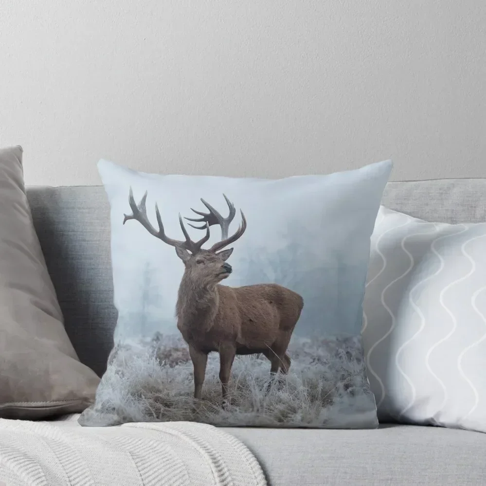 Monarch in a field of white Throw Pillow ornamental pillows Luxury Room Decorative Cushions home decor items pillow
Monarch in a field of white Throw Pillow ornamental pillows Luxury Room Decorative Cushions home decor items pillow