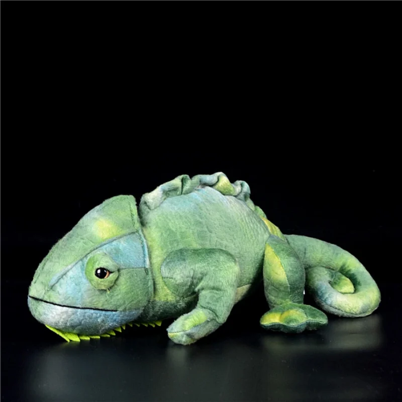 Забавная реалистичная плюшевая игрушка-хамелеон, лягушка, дикая рептилия, кукла, подарок на день рождения для девочек
Забавная реалистичная плюшевая игрушка-хамелеон, лягушка, дикая рептилия, кукла, подарок на день рождения для девочек
