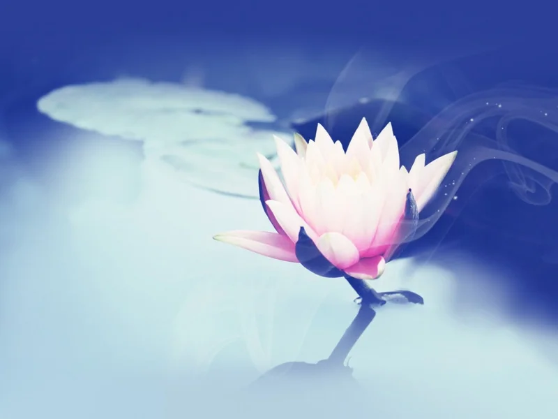 Защитная рамка из алюминиевого сплава для передатчика FS-NB4 для пульта дистанционного управления Flysky Noble NB4
Защитная рамка из алюминиевого сплава для передатчика FS-NB4 для пульта дистанционного управления Flysky Noble NB4