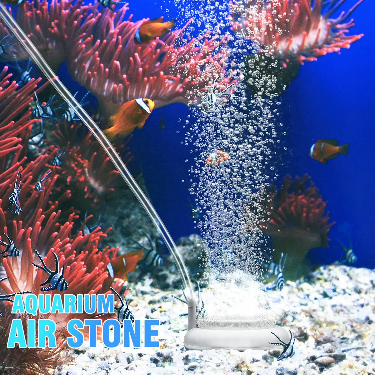 Fish Tank Nanobubble Air Stone Tube White Aquarium Oxygen Diffuser Suction Cup Fish Tank Bubbler Air Pump
Fish Tank Nanobubble Air Stone Tube White Aquarium Oxygen Diffuser Suction Cup Fish Tank Bubbler Air Pump