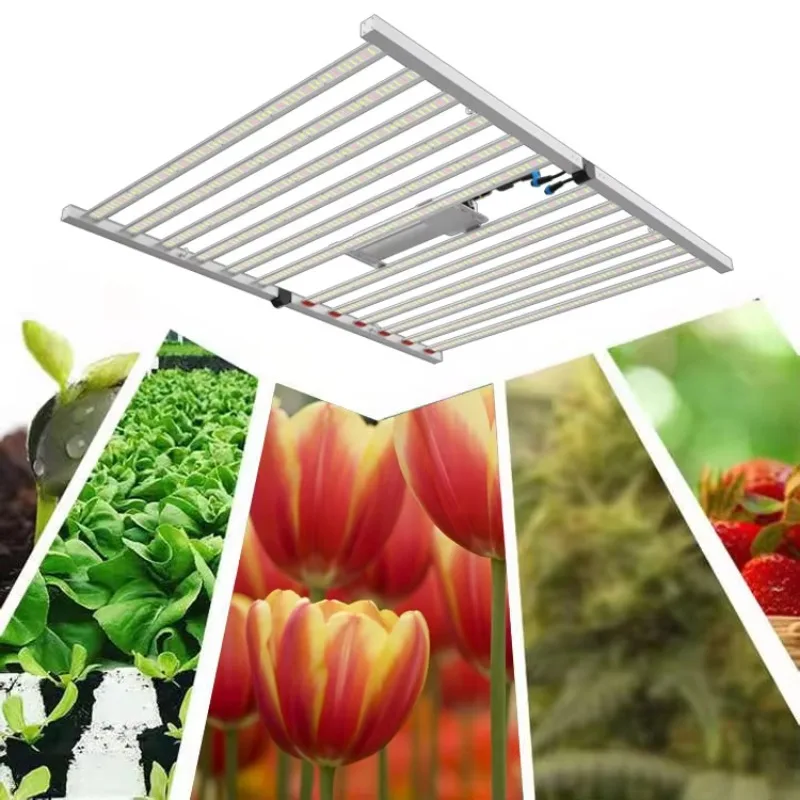 Bar Hydroponic Plant Grow Light LED Indoor Plants 640w 1000 Watt 800w 600w Full Spectrum Foldable LED Grow Light 1000w 
Bar Hydroponic Plant Grow Light LED Indoor Plants 640w 1000 Watt 800w 600w Full Spectrum Foldable LED Grow Light 1000w