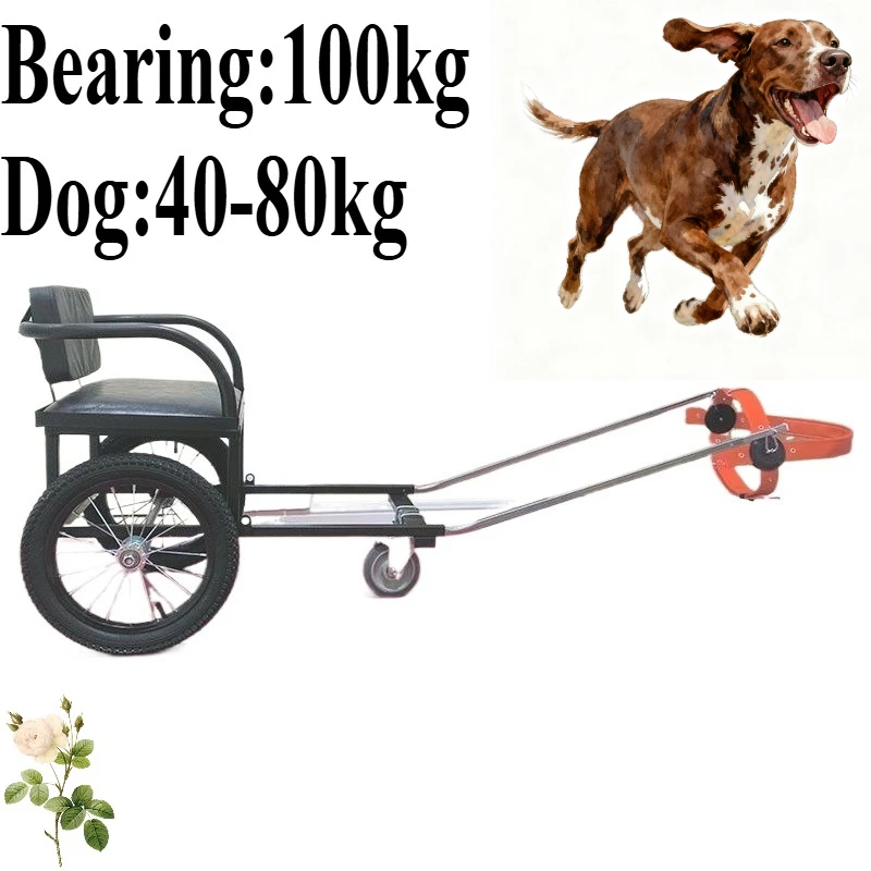 Dog Border Collie Pull Light Pet Cart Kit Person Ride Cart Samoeira
Dog Border Collie Pull Light Pet Cart Kit Person Ride Cart Samoeira