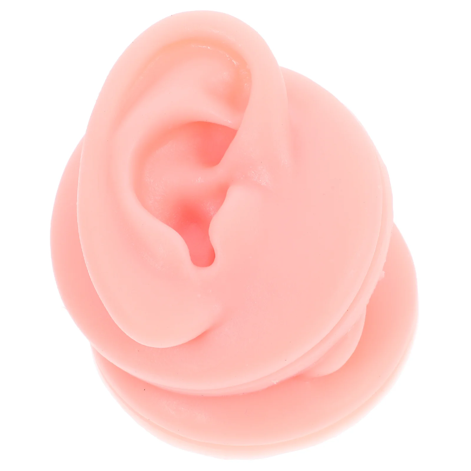 Silicone Ear Model for Jewelry Display Rack Fake Body Parts Ear Piercing Training Realistic Human Ears Accessories ganizing
Silicone Ear Model for Jewelry Display Rack Fake Body Parts Ear Piercing Training Realistic Human Ears Accessories ganizing