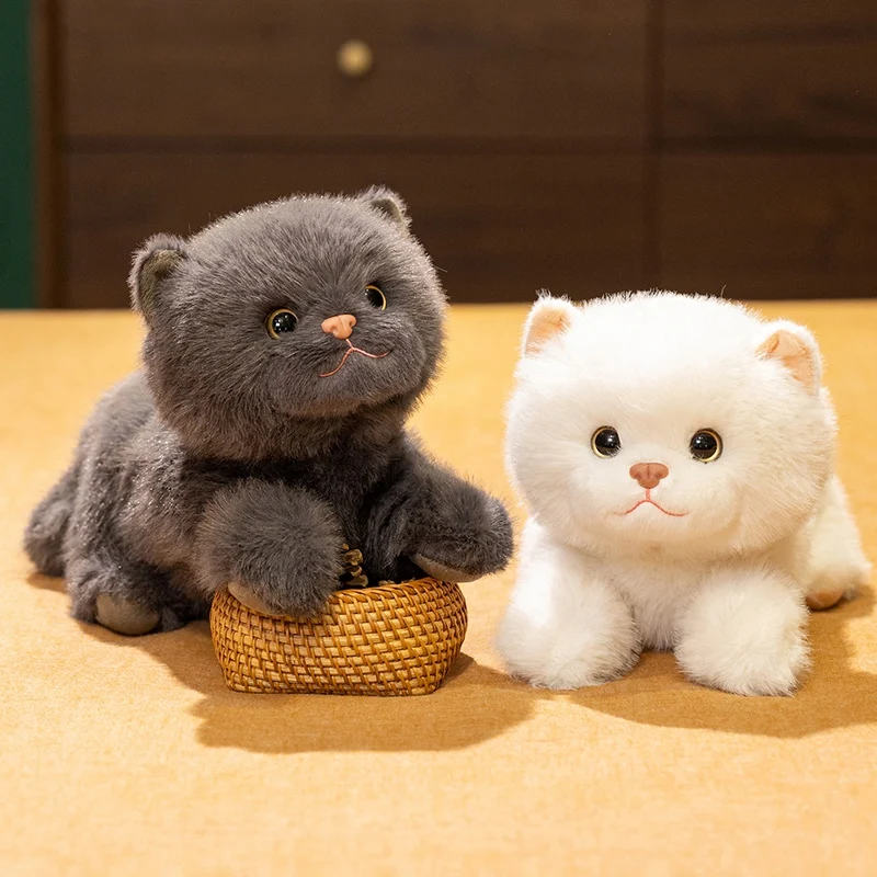 34cm Cute British Shorthair Cat Plush Toy Kawaii Stuffed Animals Lazy Kittey Plushies Doll Anime Soft Kids Toys for Girls Gifts
34cm Cute British Shorthair Cat Plush Toy Kawaii Stuffed Animals Lazy Kittey Plushies Doll Anime Soft Kids Toys for Girls Gifts