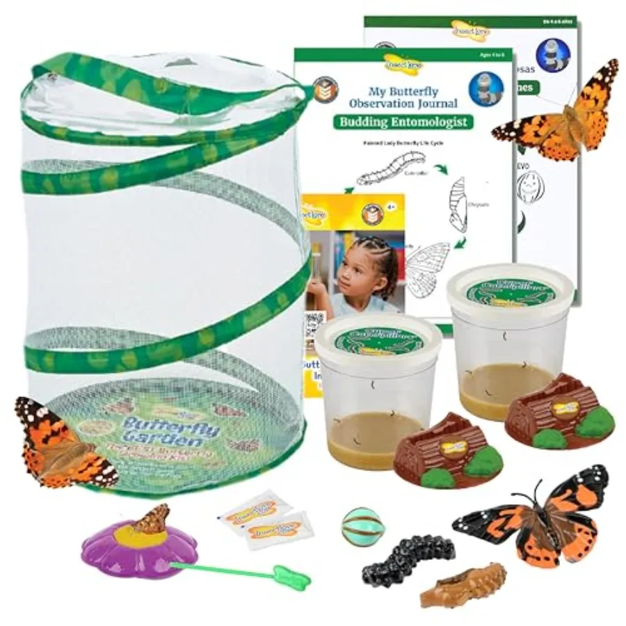 Butterfly Garden STEM Activity for Education: Live Painted Lady Caterpillars, Life Cycle Figurines, Bilingual English-Spanish J
Butterfly Garden STEM Activity for Education: Live Painted Lady Caterpillars, Life Cycle Figurines, Bilingual English-Spanish J