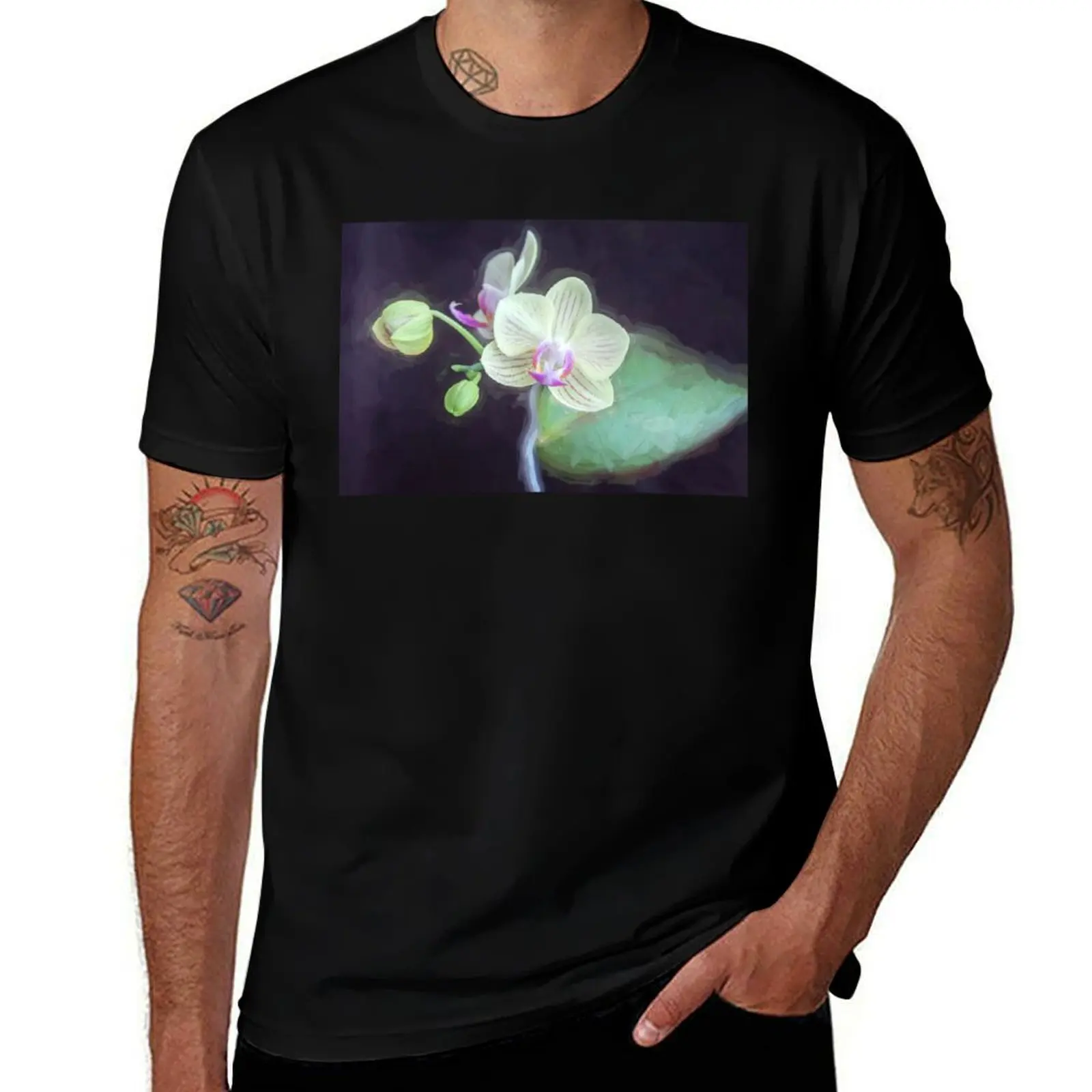 Perfect Phalaenopsis Orchid 105 T-Shirt custom t-shirts luxury designer plain sweat Men's t-shirt
Perfect Phalaenopsis Orchid 105 T-Shirt custom t-shirts luxury designer plain sweat Men's t-shirt