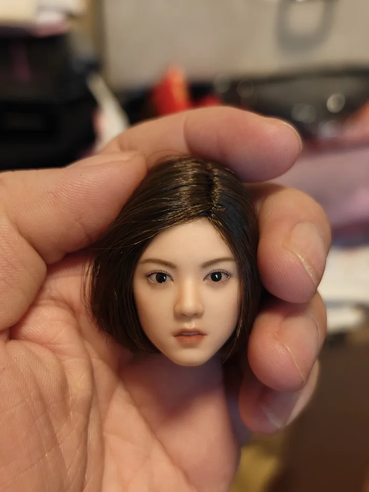 YMT108 1/6 Scale Female Soldier Asian Girl Movable Eyes Head Sculpt Carving Model Fit 12'' PH TBL Pale Toys Body
YMT108 1/6 Scale Female Soldier Asian Girl Movable Eyes Head Sculpt Carving Model Fit 12'' PH TBL Pale Toys Body