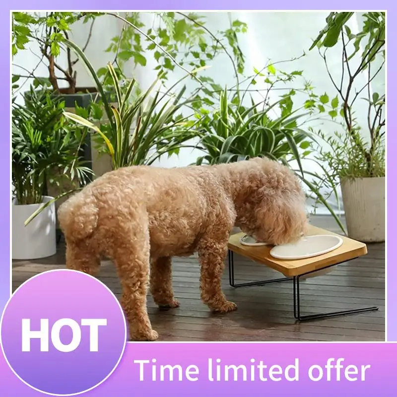 B69C Elevated Cats Bowls, Small Dog Food Feeding Dishes, Solid Bamboo Water Stand Feeder Set For Cats And Puppy Rust-Fre
B69C Elevated Cats Bowls, Small Dog Food Feeding Dishes, Solid Bamboo Water Stand Feeder Set For Cats And Puppy Rust-Fre