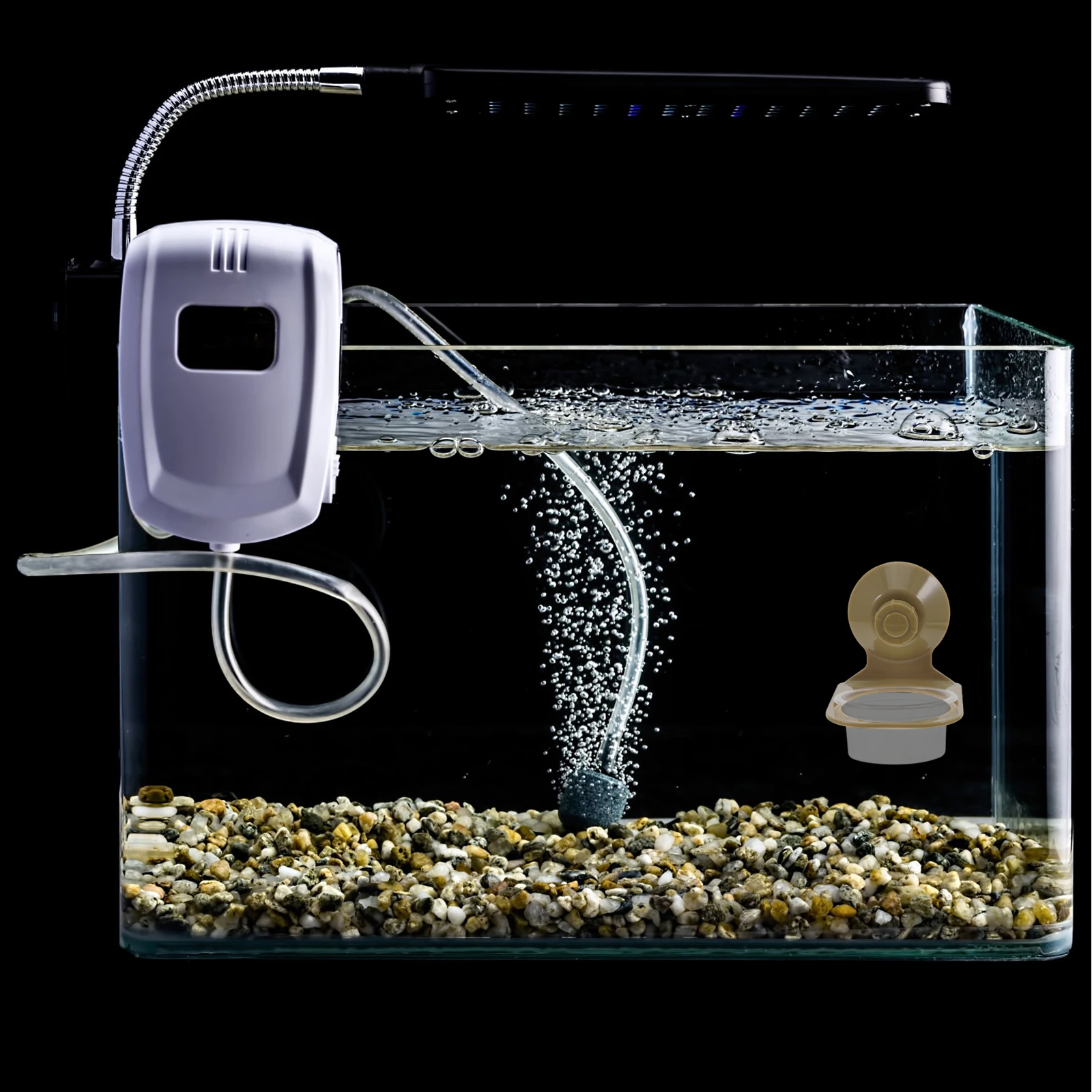 Tortoise Food Water Dish Gecko Tank Accessories Suction Cup Leopard Gecko Water Dish Design Large Capacity Pet Snake Supplies
Tortoise Food Water Dish Gecko Tank Accessories Suction Cup Leopard Gecko Water Dish Design Large Capacity Pet Snake Supplies