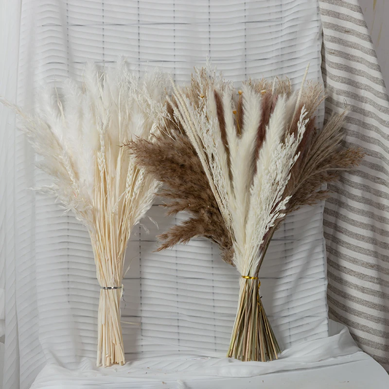 Real Forever Flower Luxury Home Decorative Dried Preserved Natural Pampas Grass Dancing Branch Exotic Plants Gift Female
Real Forever Flower Luxury Home Decorative Dried Preserved Natural Pampas Grass Dancing Branch Exotic Plants Gift Female