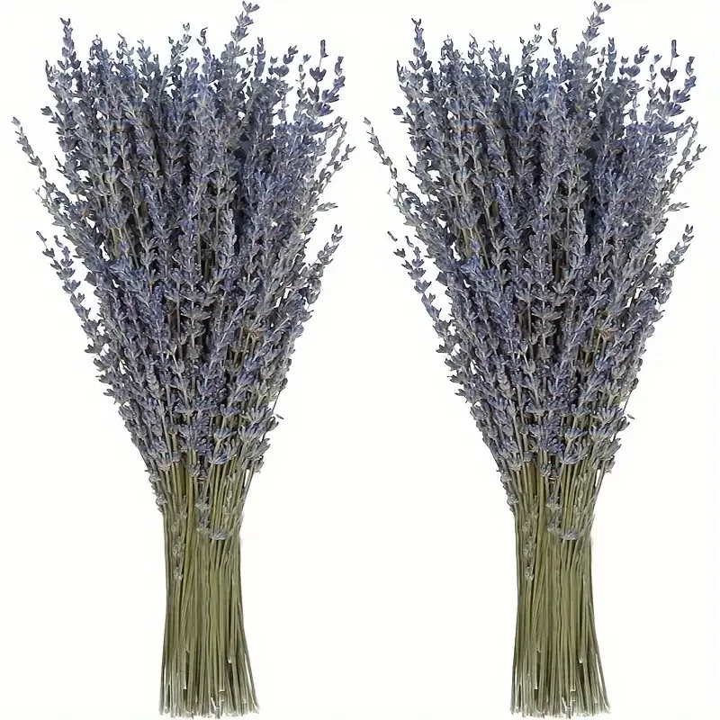 200pcs/Bunch Lavender Dried Flowers for Home Living Room Decoration Aromatherapy Materials Natural Dry Flower Wholesale
200pcs/Bunch Lavender Dried Flowers for Home Living Room Decoration Aromatherapy Materials Natural Dry Flower Wholesale