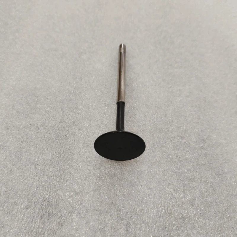 BYD FangChengBao Leopard 5 Intake Valve 476ZQC-1003101 Automobiles Parts Accesorios Para Auto Tools
BYD FangChengBao Leopard 5 Intake Valve 476ZQC-1003101 Automobiles Parts Accesorios Para Auto Tools