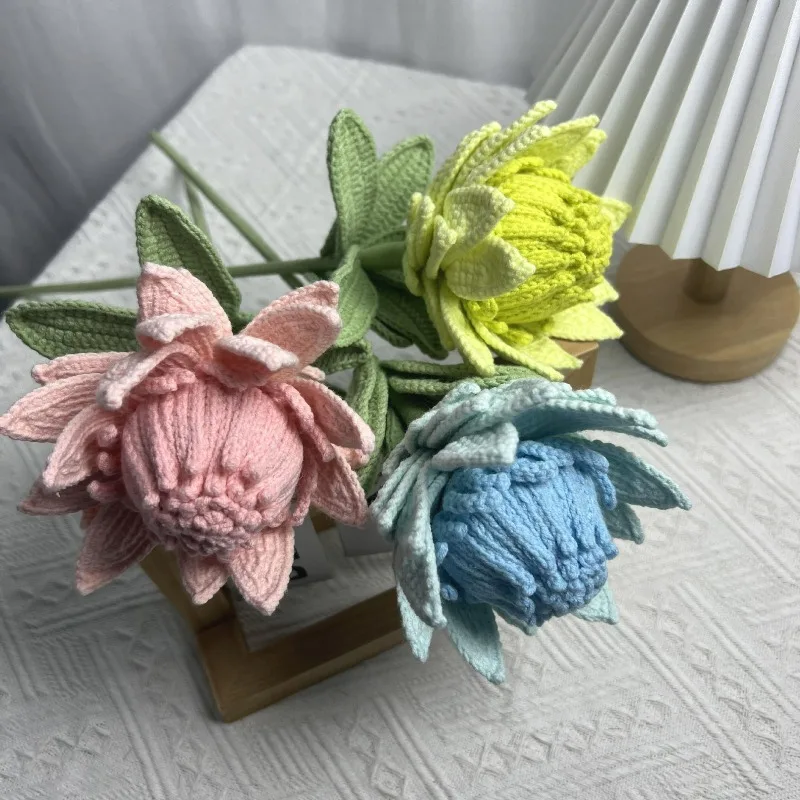 (Без вазы) 1 шт. креативный Protea Flower ручной работы, вязаный крючком, искусственное растение, готовые вечные цветочные украшения, изысканный декор для дома
(Без вазы) 1 шт. креативный Protea Flower ручной работы, вязаный крючком, искусственное растение, готовые вечные цветочные украшения, изысканный декор для дома