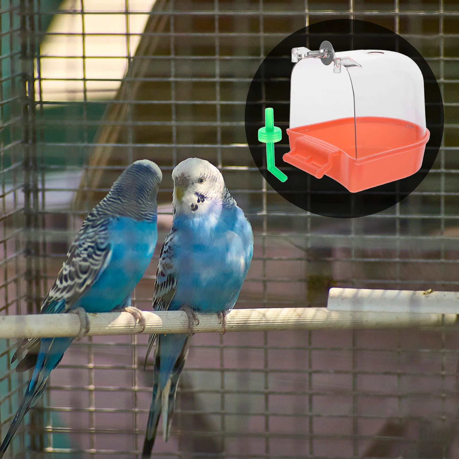 For Cage Plastic Leakproof Parrot Bath Tub Hanging Bathtub Small Bird Showering Basin Pet Bird Bath Box Parrot Supplies
For Cage Plastic Leakproof Parrot Bath Tub Hanging Bathtub Small Bird Showering Basin Pet Bird Bath Box Parrot Supplies