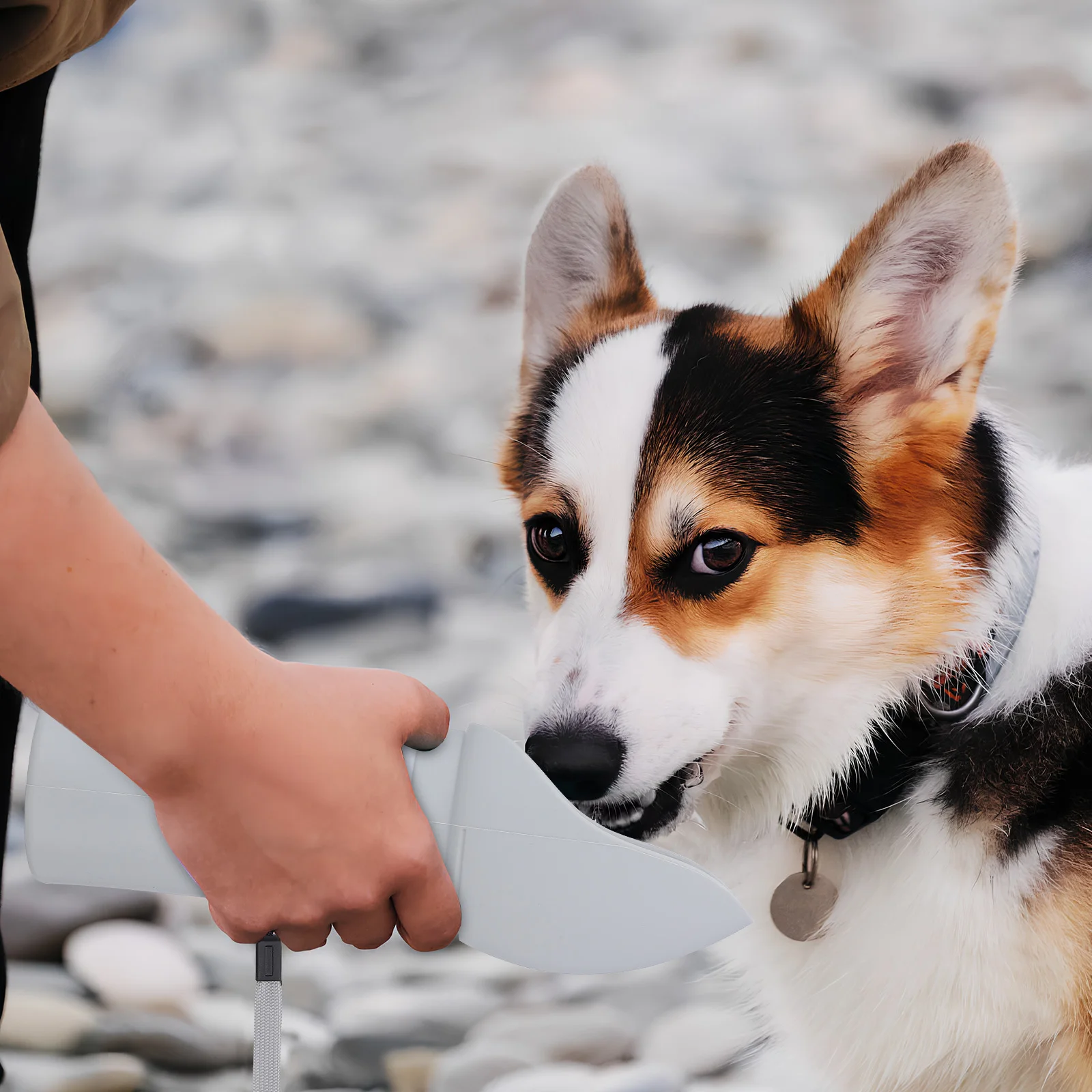 Dog Water Bottle 550ml Foldable Pet Drinking Cup Robust Flexible Bowl for Travel Hiking Walking Dog Water Dispenser
Dog Water Bottle 550ml Foldable Pet Drinking Cup Robust Flexible Bowl for Travel Hiking Walking Dog Water Dispenser