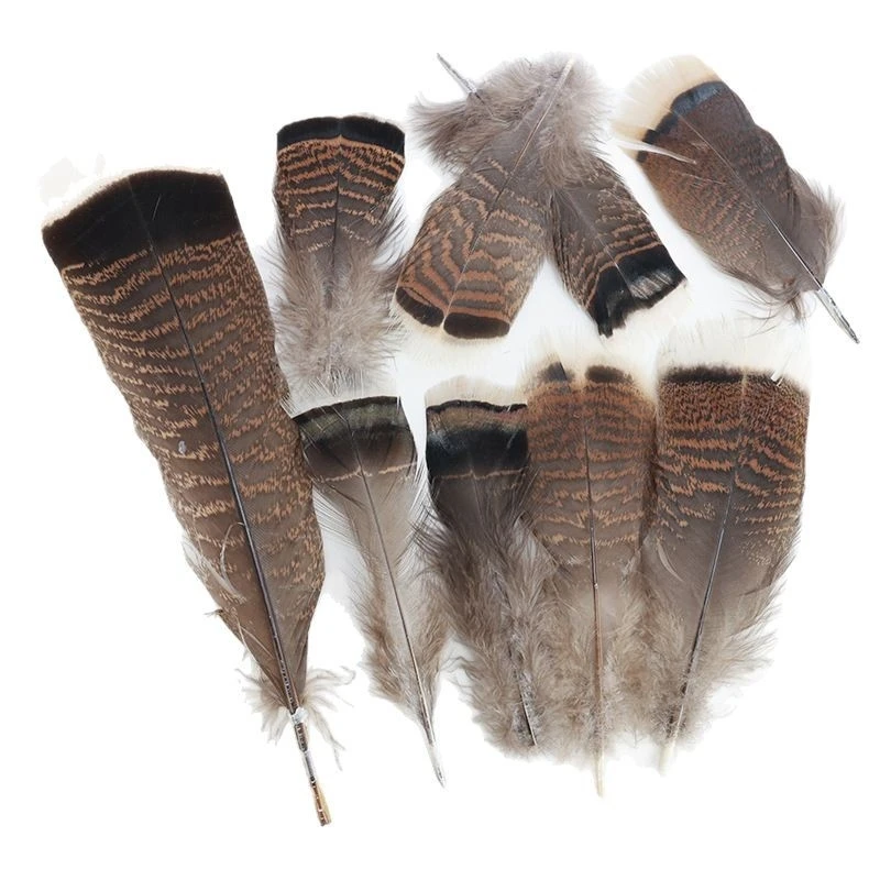 10Pcs Natural Turkey Feathers Eagle Feather Long Big for Crafts Plumas Carnival Accessories Wedding Decoration
10Pcs Natural Turkey Feathers Eagle Feather Long Big for Crafts Plumas Carnival Accessories Wedding Decoration