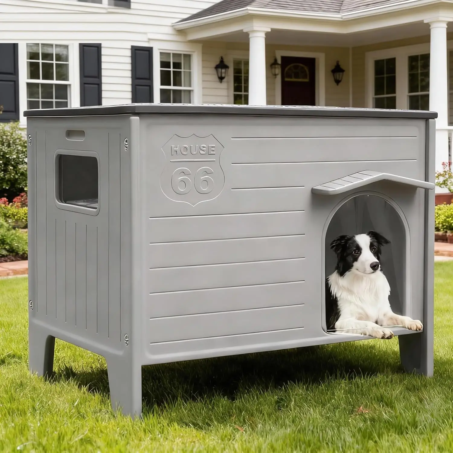 Dog House Outdoor Weatherpoof Plastic Large Dogs Houses Indoor Waterproof Stray/Pet Dog Shelter Outside for Large and Medium Dog
Dog House Outdoor Weatherpoof Plastic Large Dogs Houses Indoor Waterproof Stray/Pet Dog Shelter Outside for Large and Medium Dog