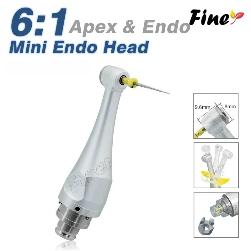 Dental Endo Motor Head 6:1 Reduction Contra Angle Handpiece Head for Woodpecker Dentsply Root Canal Endodontic Treatment
Dental Endo Motor Head 6:1 Reduction Contra Angle Handpiece Head for Woodpecker Dentsply Root Canal Endodontic Treatment