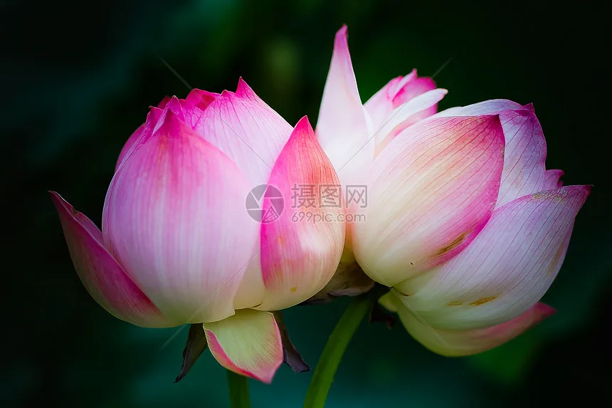 Металлический адаптер двигателя 380-540, конвертер двигателя 3650 для Xray Serpent Xpress PTG Lracing 3racing Sakura, запчасть для тюнинга RC багги
Металлический адаптер двигателя 380-540, конвертер двигателя 3650 для Xray Serpent Xpress PTG Lracing 3racing Sakura, запчасть для тюнинга RC багги