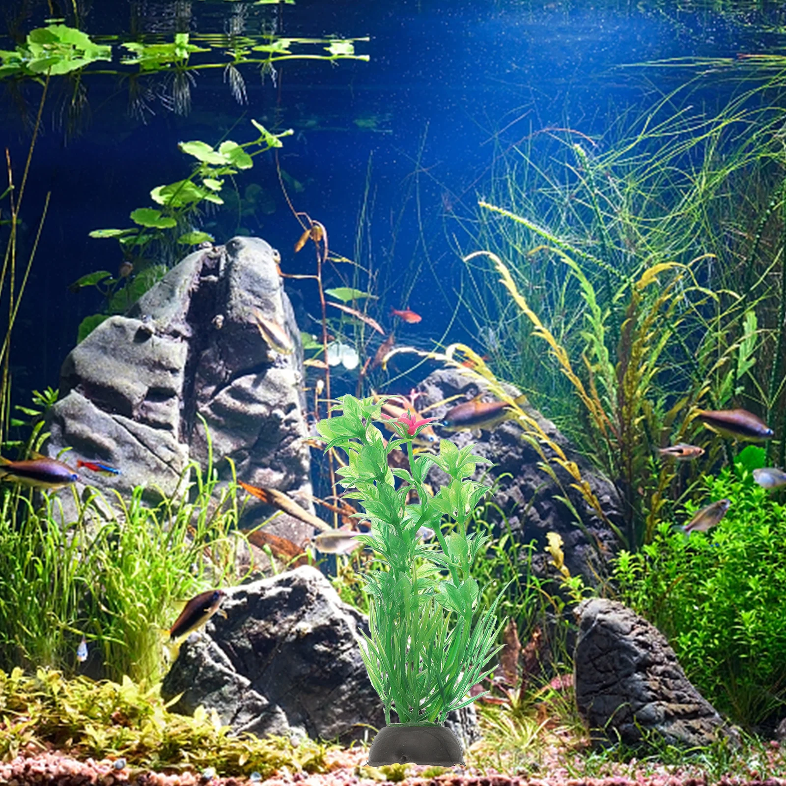 10 Pcs Plastic Plants Home Aquarium Grass for Fish Tank Decor Aquarium Grass Underwater L scape DIY Home Office nament
10 Pcs Plastic Plants Home Aquarium Grass for Fish Tank Decor Aquarium Grass Underwater L scape DIY Home Office nament