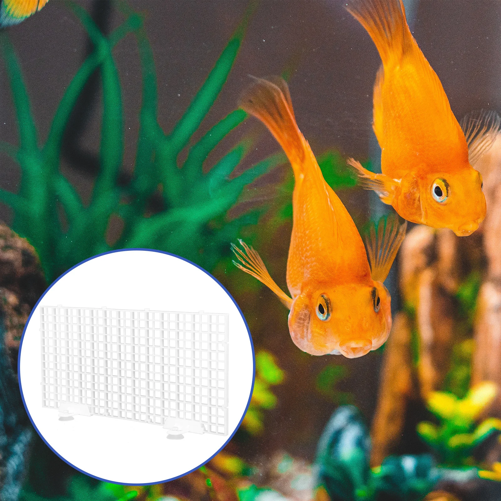 1 Set Bottom Filter Grid Plate Pp Material Smooth Burr- Tank Isolation Board For Aquarium Filtering System Aquarium
1 Set Bottom Filter Grid Plate Pp Material Smooth Burr- Tank Isolation Board For Aquarium Filtering System Aquarium