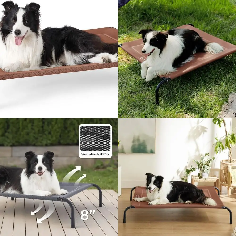 Portable Outdoor & Indoor Large Dog Cooling Cot with Mesh, Terracotta, 49
Portable Outdoor & Indoor Large Dog Cooling Cot with Mesh, Terracotta, 49