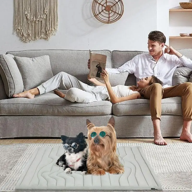 Pet Ice Pad Double-Sided Cooling Mat for Cats Machine Washable Wear Resistant Pad Sleeping Pad for Floor Car Seats Crate Outdoor
Pet Ice Pad Double-Sided Cooling Mat for Cats Machine Washable Wear Resistant Pad Sleeping Pad for Floor Car Seats Crate Outdoor