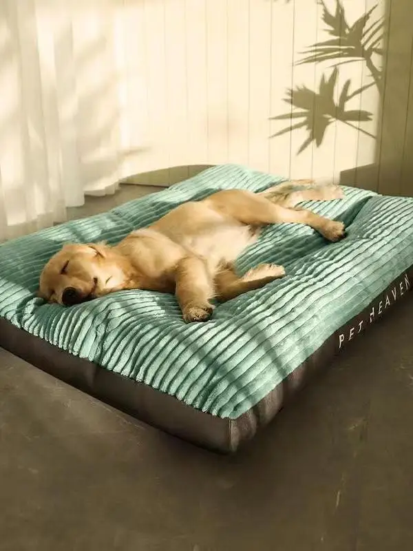 Теплый съемный коврик для кровати для собак Thiened для средних и больших собак, осенне-зимние товары для домашних животных, удобный коврик для собак
Теплый съемный коврик для кровати для собак Thiened для средних и больших собак, осенне-зимние товары для домашних животных, удобный коврик для собак