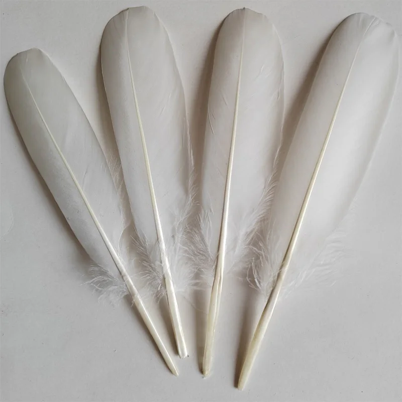 Plumes! 50PCS/LOT! 18-20cm NATURE WHITE GOOSE Quill FEATHERS,Goose Wing Feathers for millinery,crafts,wedding
Plumes! 50PCS/LOT! 18-20cm NATURE WHITE GOOSE Quill FEATHERS,Goose Wing Feathers for millinery,crafts,wedding