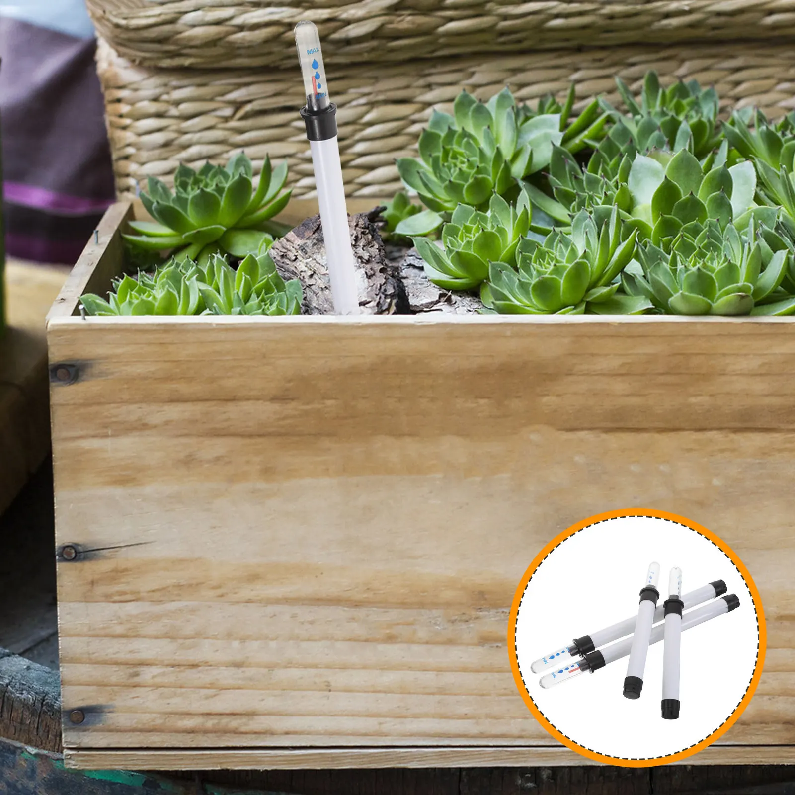 4 Pcs Display Gauge for Planter Moisture Meter Pot Water Level Indicator Indicators
4 Pcs Display Gauge for Planter Moisture Meter Pot Water Level Indicator Indicators