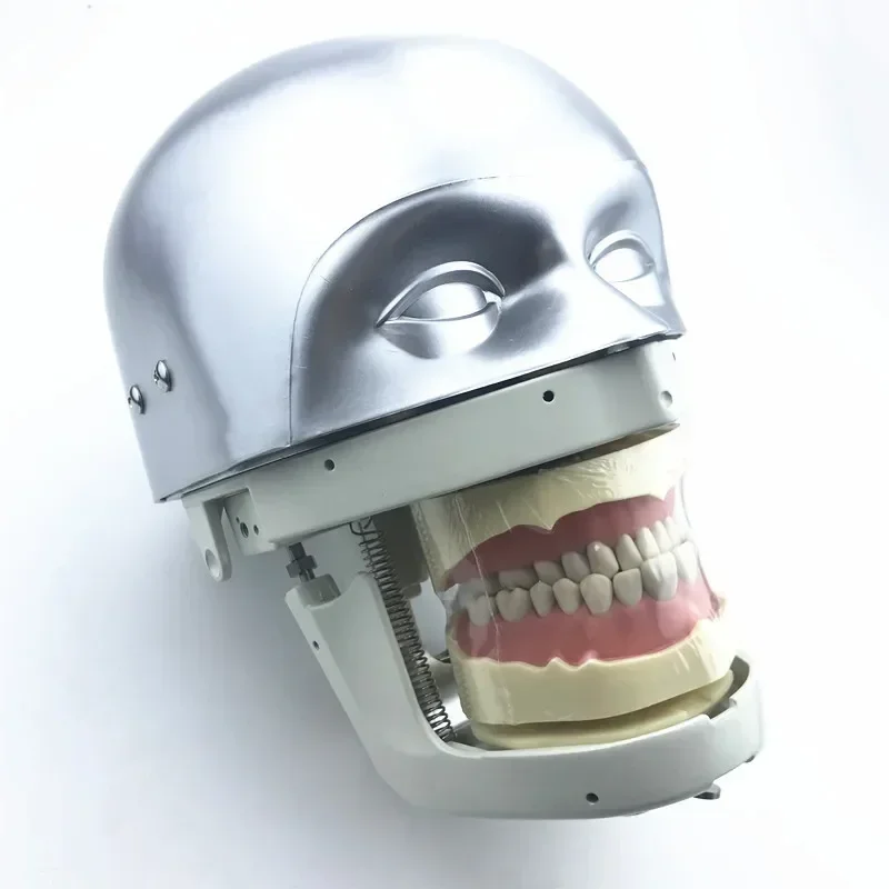 Dental Simulator Manikin Phantom Head demonstrations practical exercises Teeth Model for Dentist Practice Teaching Model
Dental Simulator Manikin Phantom Head demonstrations practical exercises Teeth Model for Dentist Practice Teaching Model