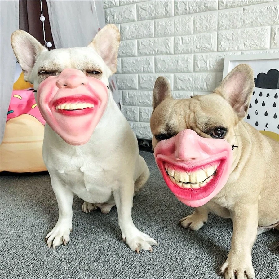 New Pet Dog Funny Mask Spoof Mouth Cover Laughing Lip and Head Cover Dog Accessories
New Pet Dog Funny Mask Spoof Mouth Cover Laughing Lip and Head Cover Dog Accessories