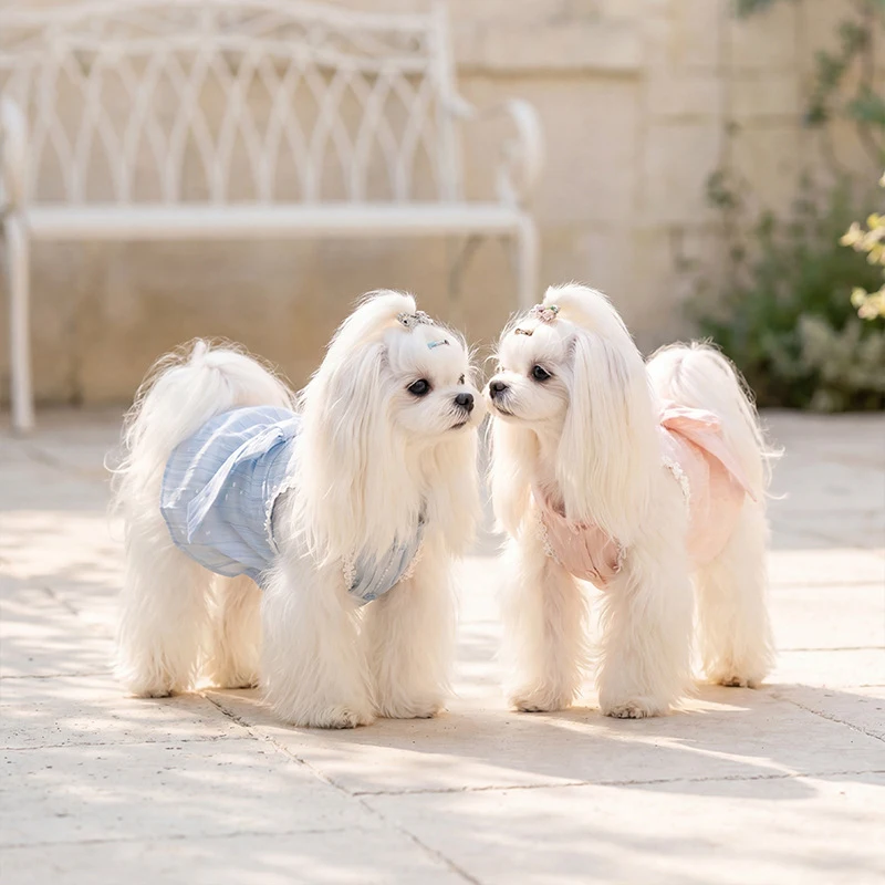 Large Bowknot Princess Dress Sleeveless Two-Legged Dog Dress Small to Medium Dogs Summer Thin Style Dress
Large Bowknot Princess Dress Sleeveless Two-Legged Dog Dress Small to Medium Dogs Summer Thin Style Dress