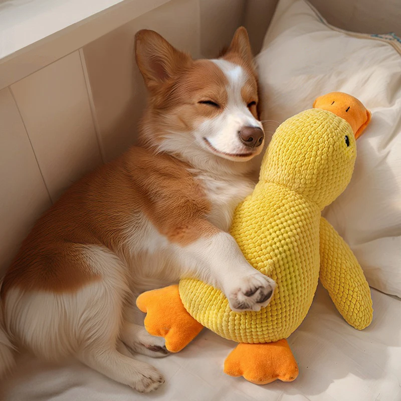 Yellow Duck Soft Puppy Doll Interactive Dog Toys Dogman Training Aids Anti Stress Cuddly Cushion Animals Accessories Plush Toy
Yellow Duck Soft Puppy Doll Interactive Dog Toys Dogman Training Aids Anti Stress Cuddly Cushion Animals Accessories Plush Toy
