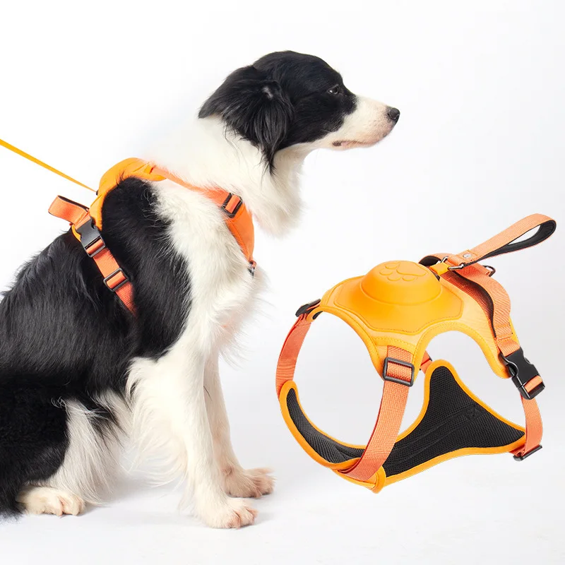Dog leash with adjustable chest and back, medium-sized and large dog leash, vest style shoulder strap to prevent slipping
Dog leash with adjustable chest and back, medium-sized and large dog leash, vest style shoulder strap to prevent slipping