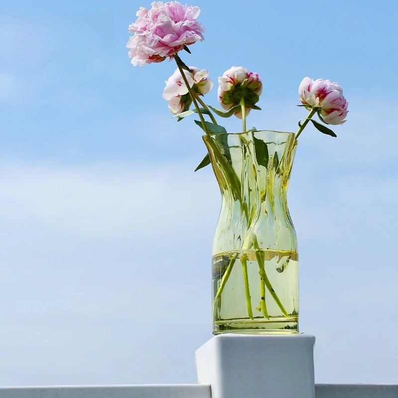 Colorful Irregular Transparent Hydroponic Glass Vase for Home Decor Flower Holder
Colorful Irregular Transparent Hydroponic Glass Vase for Home Decor Flower Holder