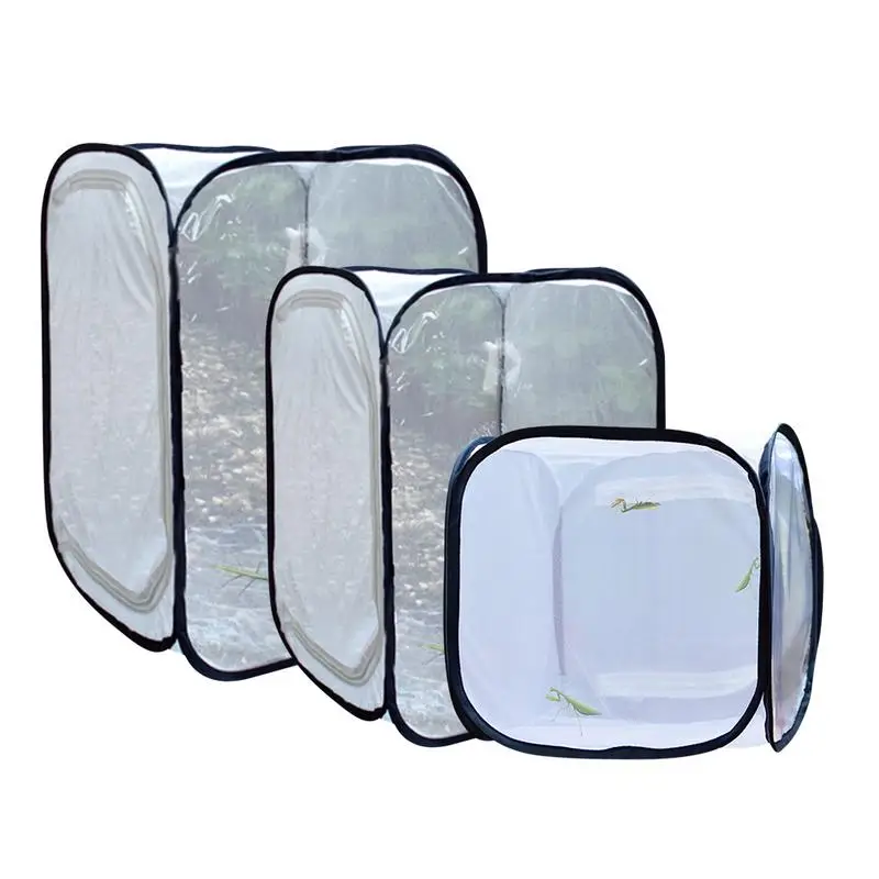 Butterfly Habitat Mini Insect And Butterfly Cage Popup Collapsible Insect Mesh Cage All Black Insect Net Cage Feeding Standard
Butterfly Habitat Mini Insect And Butterfly Cage Popup Collapsible Insect Mesh Cage All Black Insect Net Cage Feeding Standard