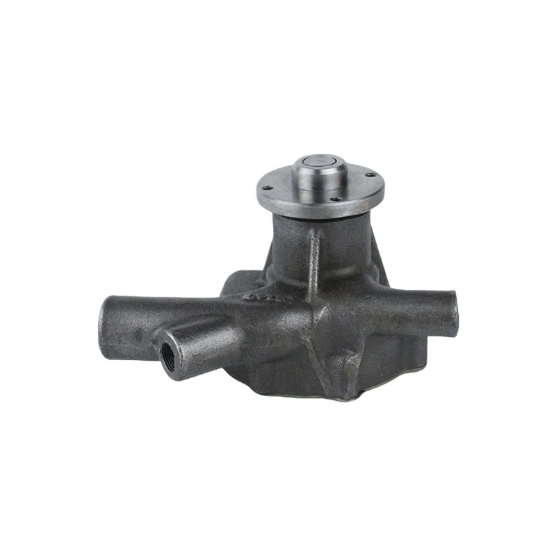 Bomba de agua 21010-09W25 21010-31W25 21010-31W26 21010-34T29 para motor NISSANE2200CC SD25
Bomba de agua 21010-09W25 21010-31W25 21010-31W26 21010-34T29 para motor NISSANE2200CC SD25