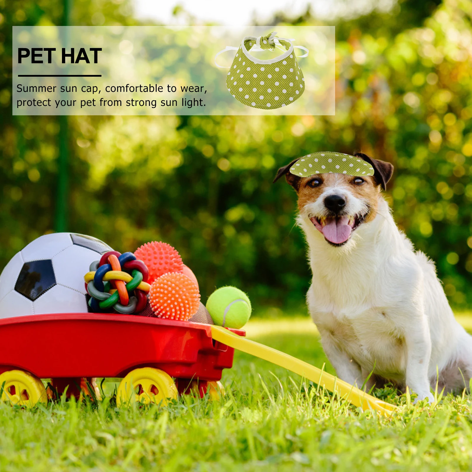 3 Pcs Pet Hat Cute Dog Cat Visor Travel Sport Cloth Lightweight Breathable Fits Small Dogs Cats Summer Outdoor
3 Pcs Pet Hat Cute Dog Cat Visor Travel Sport Cloth Lightweight Breathable Fits Small Dogs Cats Summer Outdoor