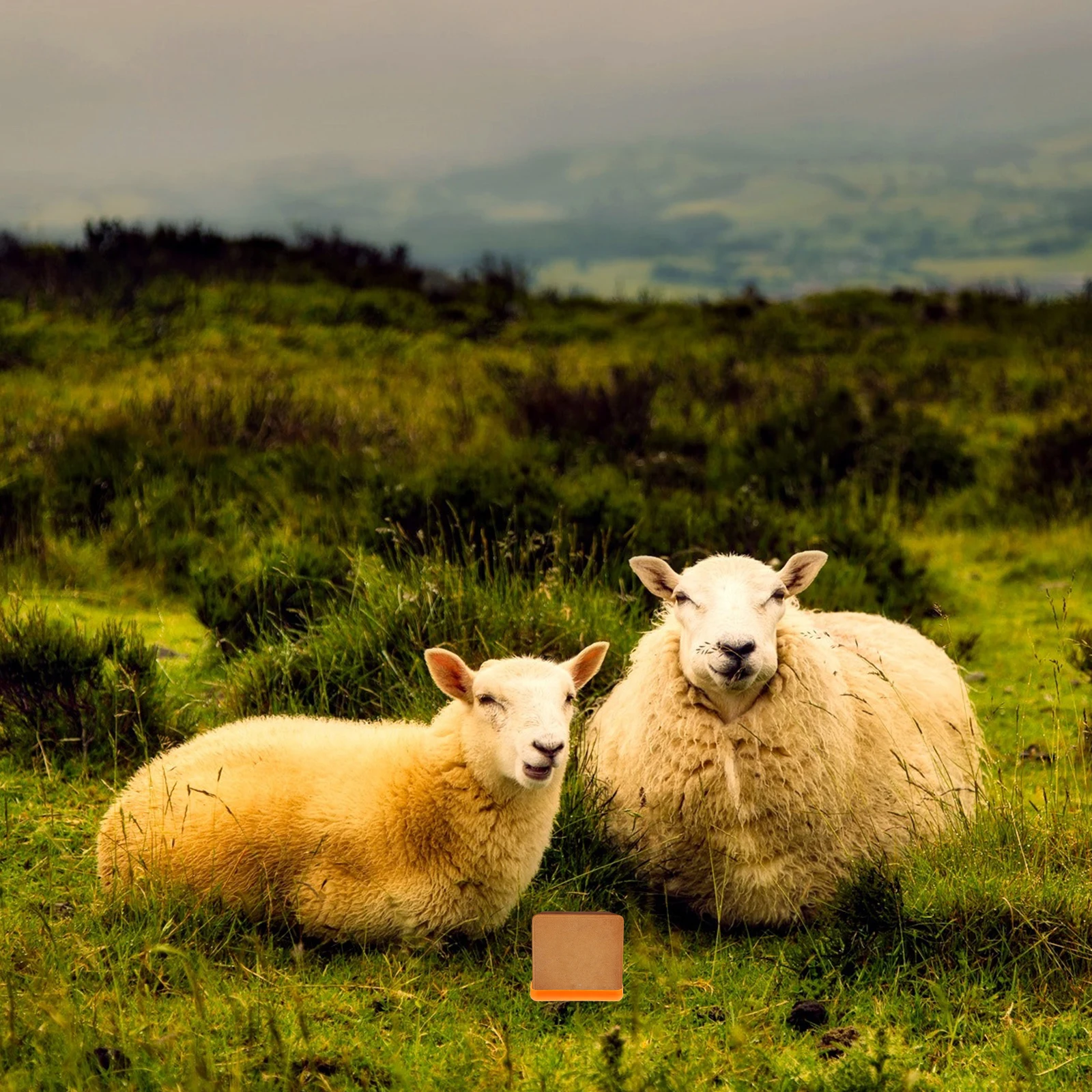 1pc Lick Brick Feeder For Cattle Sheep Thickened Salt Livestock Feeder Farm Feeding Equipment Animal Husbandry
1pc Lick Brick Feeder For Cattle Sheep Thickened Salt Livestock Feeder Farm Feeding Equipment Animal Husbandry