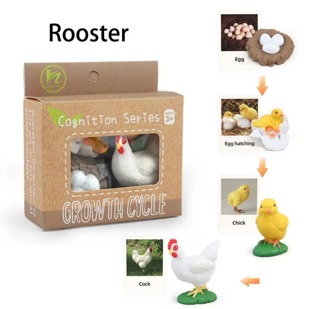 Cycle Action Figures Animal Life Cycle Children Animal Growth Cycle Model Life Cycle Figurine Simulation Plant Model
Cycle Action Figures Animal Life Cycle Children Animal Growth Cycle Model Life Cycle Figurine Simulation Plant Model