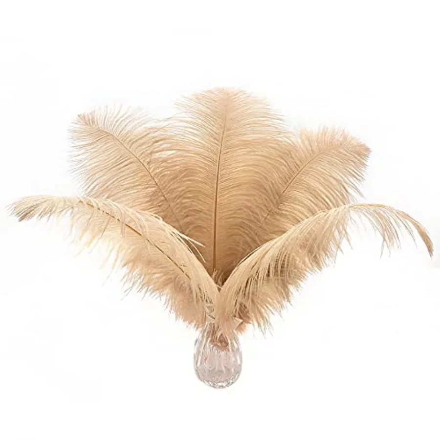 Ballinger Champagne Ostrich Feathers Bulk - 24pcs 0-2inch Boho Feathers for vase and Home Decor Wedding Party Centerpieces
Ballinger Champagne Ostrich Feathers Bulk - 24pcs 0-2inch Boho Feathers for vase and Home Decor Wedding Party Centerpieces