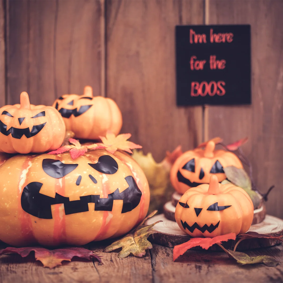 16 Pcs Simulated Maple Leaf Set Halloween Decoration Wedding Thanksgiving Ornament Plastic Holiday Decorative Accessory
16 Pcs Simulated Maple Leaf Set Halloween Decoration Wedding Thanksgiving Ornament Plastic Holiday Decorative Accessory