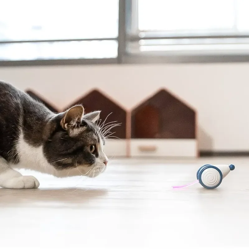 Cheerble Modern Style Two-Color Running Cat Mouse Scratching Toy Set Hide & Seek Electronic Accessory Realistic Look for
Cheerble Modern Style Two-Color Running Cat Mouse Scratching Toy Set Hide & Seek Electronic Accessory Realistic Look for