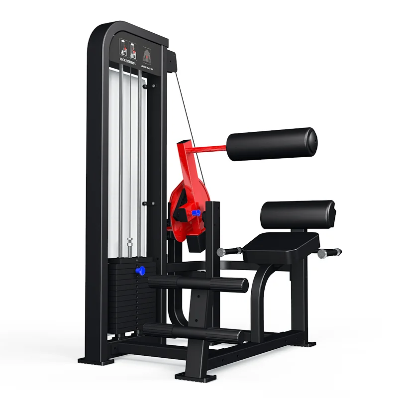 Commercial Back Extension Machine-Eco-Friendly Heavy Duty Steel Frame Gym Equipment For Strength Training
Commercial Back Extension Machine-Eco-Friendly Heavy Duty Steel Frame Gym Equipment For Strength Training